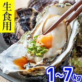 【5%OFFクーポン】【日指定OK】GW用受注中!! 牡蠣 生食用 殻付き 1〜7kg 三陸産 宮城県 (1kg 5〜8個) かき 生がき 牡蠣 生 牡蛎 貝 魚介 産地直送 人気