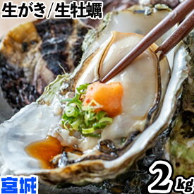 【クーポン対象】生食用 牡蠣 殻付き 2kg(約10〜16個) 宮城県 三陸産【到着日指定可】かき 生がき 牡蛎 貝 魚介 産地直送 人気