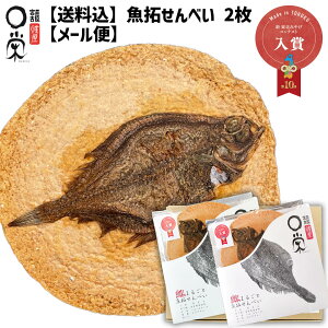 ꂢ܂邲 񂹂ׂ 2Zbg a15cm  mtC Ăَq 10Vk݂₰ReXg  JC  ׂ  Ă CN {X 茧Y ~MK