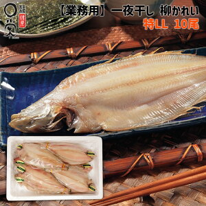 Ɩp 銱ꂢ qO ꂢ 2.7kg kCY yz 275gup10  Ɩp JC IC JC }KC \ ܂ Ă Ђ  H [J[ 