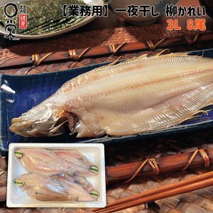 Ɩp 銱 ꂢ qO 3L 8 ꂢ kCYyzTCY3L 325g 2.6kg JC銱  O iM   Mtg  Ă g v[g ܂