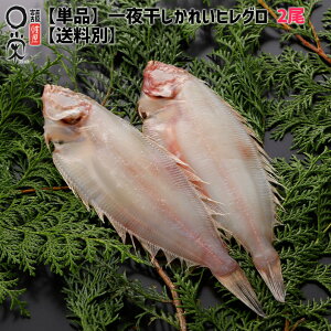 銱ꂢ qO MTCY(125g)×2yPiEʁzJC Ђ JC 銱 Ă O{Âꂢ Ⓚ j  { y ܂ ̓ Mtg ꂢ̈