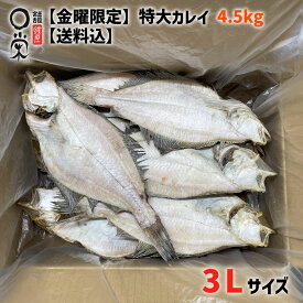 【金曜限定】 特大 一夜干し かれい 4.5kg 北海道産 【送料無料】簡易包装 個包装 柳かれい ヒレグロ みずかれい ムシガレイ マガレイ ソウハチ エテ カレイ 食品 アウトレット 焼き魚 おつまみ 加工 宴会 冷凍 干物 お得 かれいの一夜干し