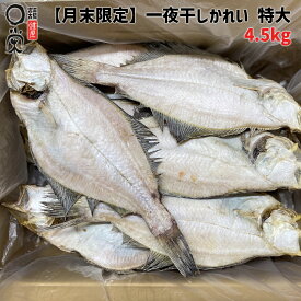 【月末限定】 特大 一夜干し かれい 4.5kg 北海道産 【送料無料】簡易包装 個包装 柳かれい ヒレグロ みずかれい ムシガレイ マガレイ ソウハチ エテ カレイ 食品 アウトレット 焼き魚 おつまみ 加工 宴会 冷凍 干物 お得 かれいの一夜干し