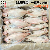 【金曜限定】メガ盛り 一夜干しかれい 4.5kg~5kg【送料無料】北海道産 岩手県産 簡易包装 ソウハチ エテ…