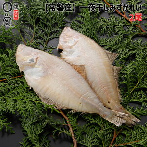 銱 ݂ꂢ 1 200gyʁzVKC ֎Y ꂢ Ă ܂݁@ H [J[ ܂₩î ~YJC Ă Ⓚ j  ̓  Mtg 