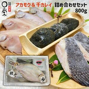 Ε AJNJC lߍ킹 800g 茧Y kCY OYyzlߍ킹Zbg qO150g×2 @125g×2 TKC100g×2 AJN30g×3 X[p[t[h  Ⓚ y