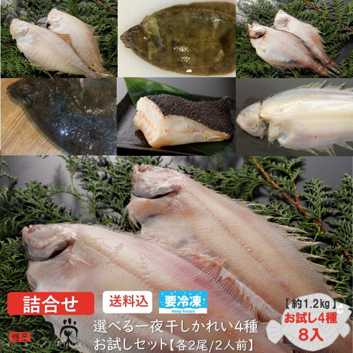 楽天市場 ポイント還元 選べる４種一夜干しかれい２人前 送料無料 各２尾合計約1 2kg ヒレグロ ソウハチ ミズカレイ ババカレイ ヒレナガ マガレイ サメガレイ 焼き魚 北海道産 三陸産 アメリカ産等 干物 詰め合わせセット 冷凍 食べ比べ 内祝い 御礼 旬 干物が得意