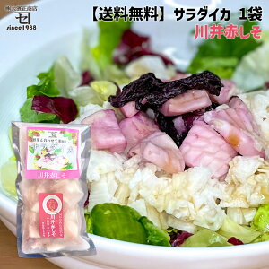 【単品】サラダイカ 川井赤しそ 1袋【送料別】GI産品 川井片面紫蘇 イカ ボイル サラダ 岩手県 宮古市 冷凍 常備菜 調理済み かれい専門店 宮古マルエイ カネセ 大濱正商店