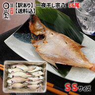 【訳あり】一夜干し かれい 宗八 SSサイズ 16尾 【まとめ買い対象】北海道産【送料無料】50-70g 簡易包装…