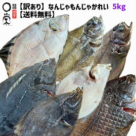 【スーパーSALE限定】一夜干しかれい なんじゃもんじゃかれい 900g 北海道産【送料無料】簡易包装 未利用魚 ランダム いろんな 魚 に 出会える アサバ スナ マコ クロガシラ アカ ウロコメ マ イシ 在庫限り 冷凍ワケあり 訳アリ 食品ロス 惣菜