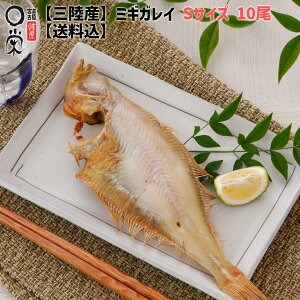 銱 ꂢ ~MKC 10 茧Yyz700g ȈՕ  JC ]EJC jN` Ă Ă g JC  O{ Ⓚ y  Mtg ܂ 