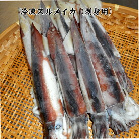 冷凍スルメイカ（刺身用）/バラ凍結/三陸産/1杯から購入できます/必要な分だけ