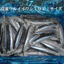 冷凍ウルメイワシ10k　Lサイズ
