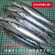 冷凍サンマバラ凍結/各サイズ/2024年産