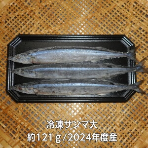 ⓀT}o/eTCY/2024NY