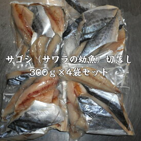 【訳あり】サゴシ（サワラの幼魚）切り落とし（カマ・尾）300g×4袋セット/お試し価格！