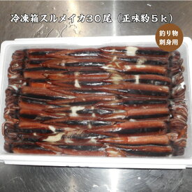 冷凍箱スルメイカ30尾/送料無料/お刺身用