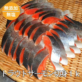 無添加・無塩　トラウトサーモン切身1k入り