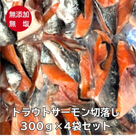 【訳あり】トラウトサーモン切り落とし（カマ・尾）300g×4袋セット/お試し価格！無塩・無添加で新登場！