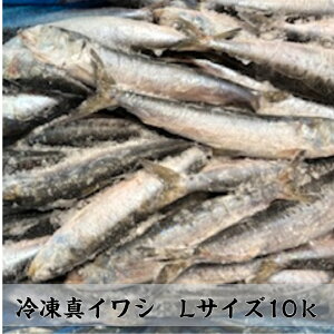 Ⓚ^킵10k@OY@Ɩp