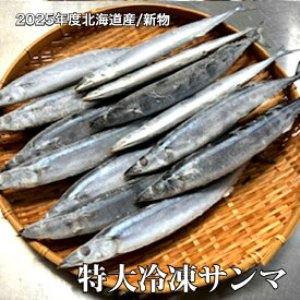 特大冷凍サンマ　2025年産　　新物入荷