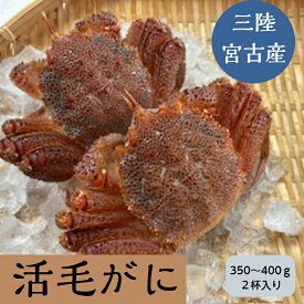 三陸産/活毛ガニ(350~400g)2杯セット
