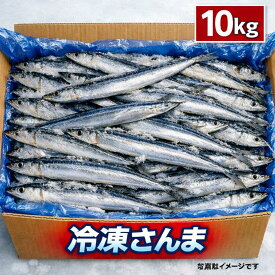 【楽天ランキング受賞】さんま サンマ 冷凍 さんま 三陸産 業務用 10kg入り