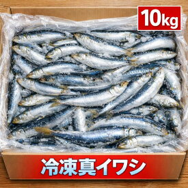 【楽天ランキング受賞】 冷凍真いわし 10kg　三陸産　業務用