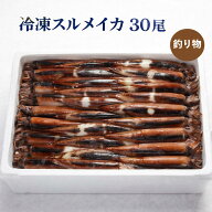 【楽天ランキング受賞】 冷凍箱スルメイカ30尾/送料無料/お刺身用