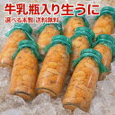 【楽天ランキング受賞】 入荷次第発送　牛乳瓶入り生うに150g　選べる本数　送料無料