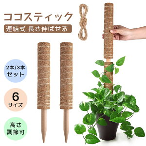 2{Zbg 3{Zbg Xe x RRXeBbN ϗtA x |x A K[fjO