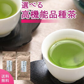 【6/1 限定！店内2点購入でP10倍！3点で20倍！】 お茶 100g×2袋 高機能品種茶2個セット ゆたかみどり さえみどり 送料無料 プレゼント お中元 ギフト 2023 エピガロカテキン ケルセチン【お茶の葉 煎茶 緑茶 お茶葉 深蒸し茶 茶葉 日本茶 鹿児島茶 お彼岸】