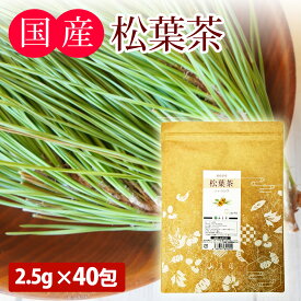 【 マラソンP5倍 】 松葉茶 ティーバッグ 2.5g × 40包 ( 100g ) 松の葉茶 ティーパック 徳島県産 国産 農薬不使用 ( 無農薬 )　赤松茶