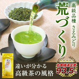 お茶 鹿児島茶 荒づくり さえみどり 100g メール便 3個以上で送料無料 プレゼント ギフト 【知覧茶 水出し 煎茶 緑茶 深蒸し茶 日本茶 茶葉 冷茶 お盆 お供え 初盆 】仏事 法事 香典返し カテキン 美味しいお茶