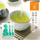 お茶 鹿児島茶 恵 100g×3袋 300g 送料無料 1000円ポッキリ プレゼント 【 お茶の葉 緑茶 茶葉 煎茶 日本茶 】【 お盆 お供え 初盆 安くて美味しい お茶葉 濃い 業務用 番茶 かごしま茶 知覧茶 深蒸し】【香典返し ギフト 】