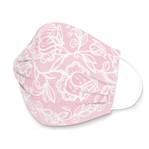 JANE DREAMfUCsDz}XN ĝă}XN sN[XfUC