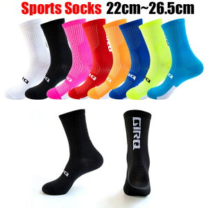 X|[c\bNX X|[cC 22cm~26.5cm fB[XpWjApYp