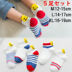 X}CLbY\bNX5Zbg |CgfUCC 12cm~19cm LbYpqp̎qj̎q