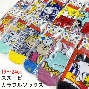 Xk[s[fUCJt\bNX C 19cm~24cm fB[XWjALbY Xj[J[\bNX