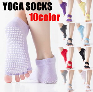 10J[Iׂ郈K\bNX 5{w ܐȂ ~ߕt22cm~24.5cm