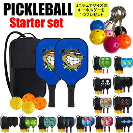 キーホルダー付き ピックルボール パドルセット 2本のグラスファイバーパドル + ボール4個 + 収納バッグ ラケット