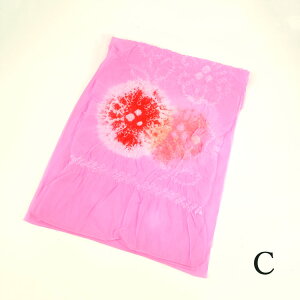 󂠂  ւ i ւ q ܎O ߑ 䂩 yho Iׂ5Fy1܂ŒǐՉ\[300~Ήz