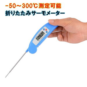 BBQ xv T[[^[ g ɕ֗ ܂肽ݎ Xe[L [Xgr[t [Xg`L  ̕Ki