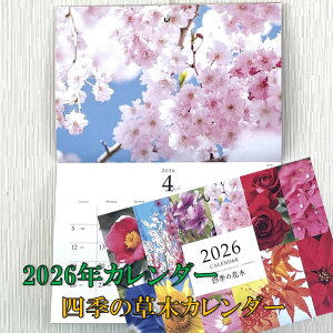 Ǌ|J_[ J_[ 2026N lG̉Ԗ J_[ A3J_[