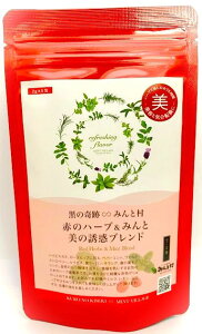 ̊Ձ݂Ƒ Ԃ̃n[ueB[ ̗Ufuh^[Yqbv nCrXJX N