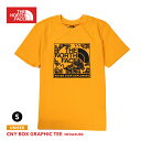 【売切れご免!ほぼラストワン】ザ ノースフェイス レア tシャツ メンズ NF0A4U8S 半袖 トップス ティーシャツ 個性的 ノースtシャツ スポーツ アウトドア ドライ ストレッチ おしゃれ 人気 お勧め ウェア