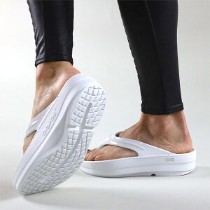 E[tHX fB[X  T_ E[K Jo[ V[Y r[T ubN  y Vv Ռz Ǝf bNX  lCuh ^  jO }