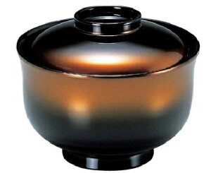 yszyϔMABSzHo@ڂ@eEW@2-243-8@98*H81(mm)