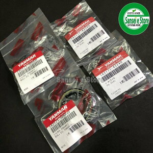 }[ i [^[܎pICV[ 4Zbgii^܎dlj